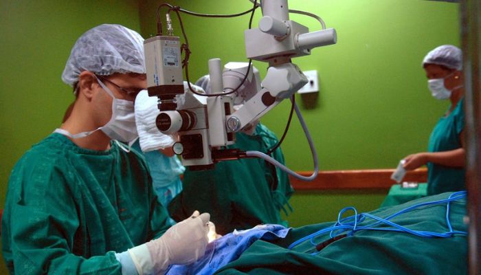 © Arquivo/Elza Fiúza/Agência Brasil Câncer de intestino que vitimou Preta Gil é o 3º mais comum no país